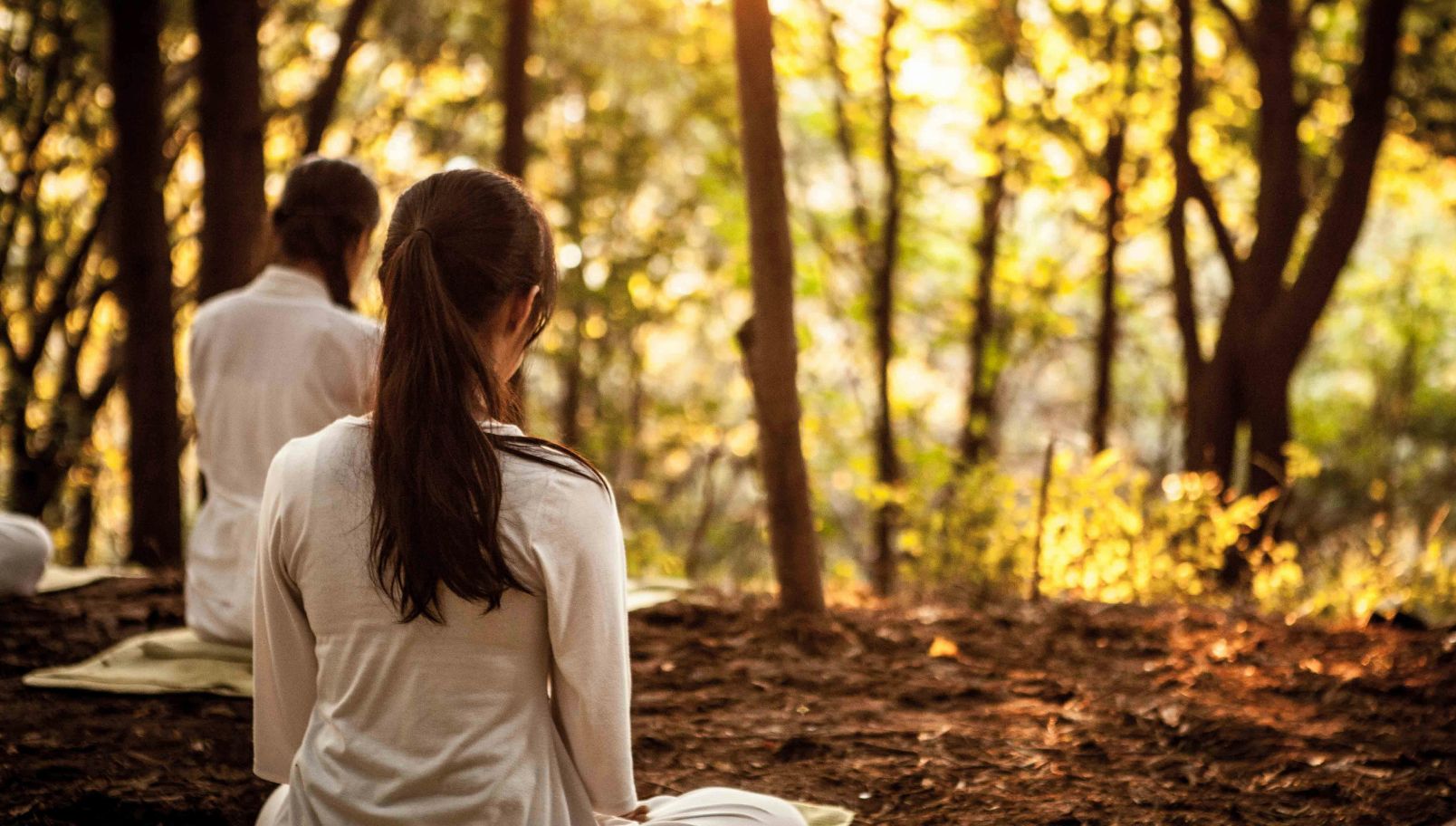Vipassana Retreat